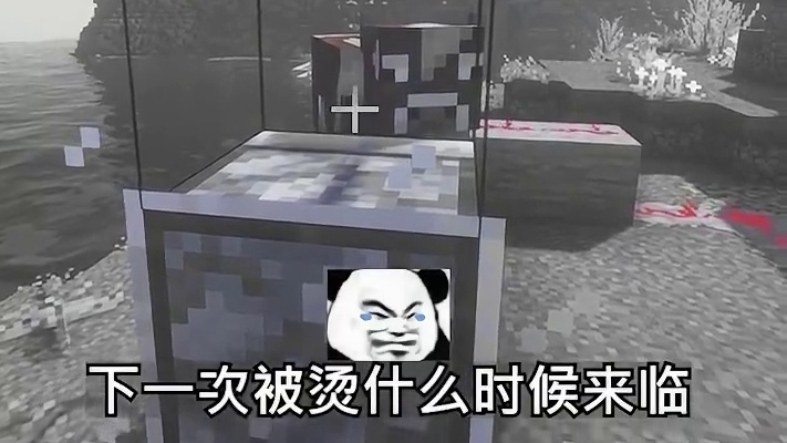 物理折磨已是旧时代的遗物，迎面向我们走来的，是精神折磨！！！ #我的世界 #整活 #顶级折磨