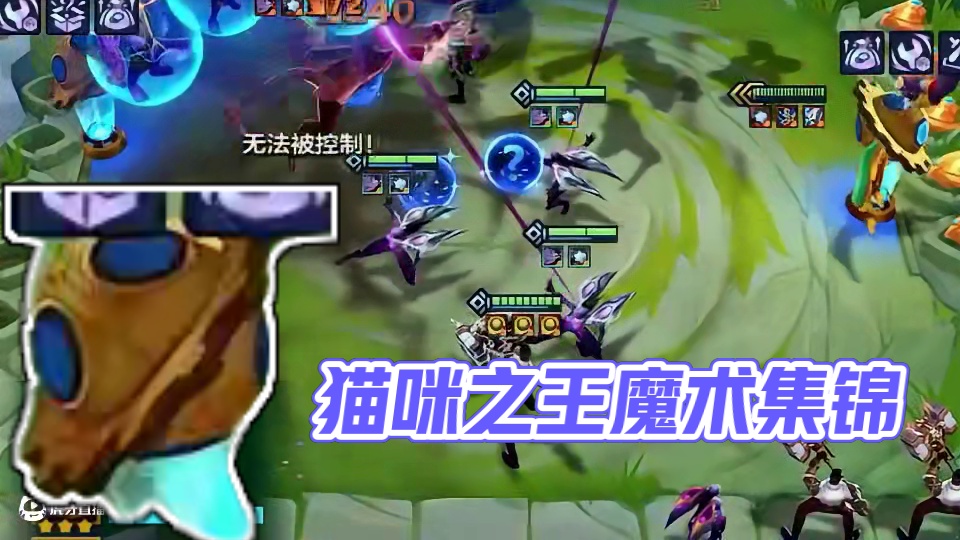 猫咪头都转晕了