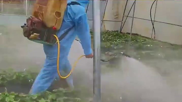 瓢虫：早知道少长几条腿了