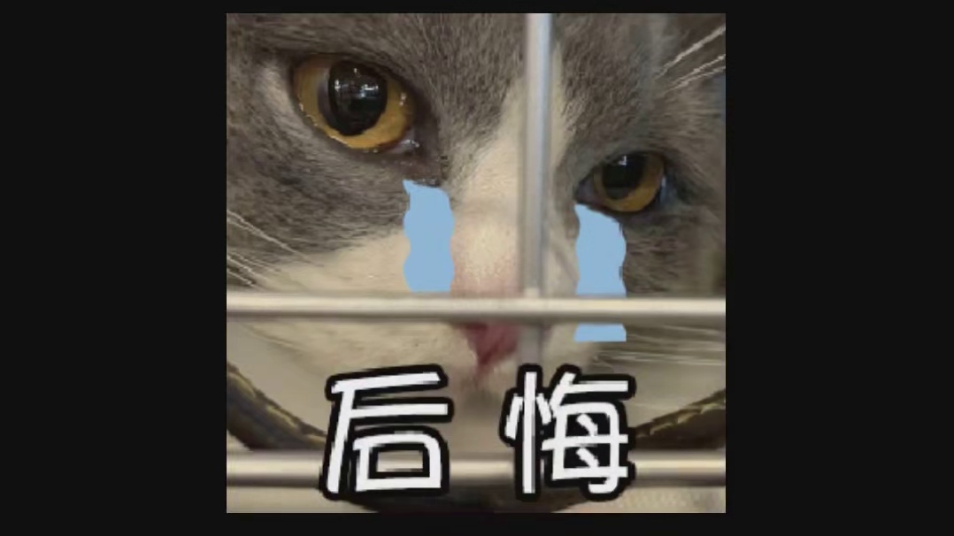 这是中文吗，我怎么听不懂