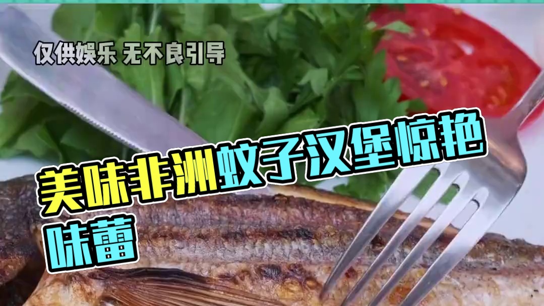 想来一口美味小汉堡吗#非洲 #蚊子 #抽象 #娱乐评论大赏