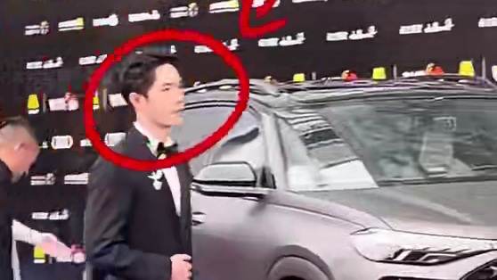 为何丁禹兮会被撵回去重走红毯？看到被夹击入坑的赵丽颖，方知斗智斗勇#丁禹兮 #赵丽颖  #王一博  