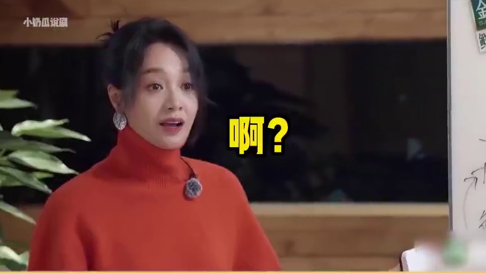 朱丹被偶像宁静当众开撕！《桃花坞》爆改《花少》！太抓马了！ #宁静 #朱丹 #影视综成长星计划  #