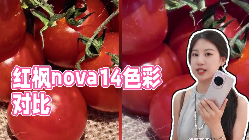 什么？红枫镜头还能拍绿色？？？ #红枫镜头 #nova14 #华为手机 #色彩还原