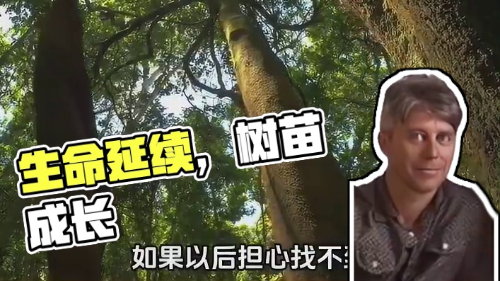 生命的另一种延续