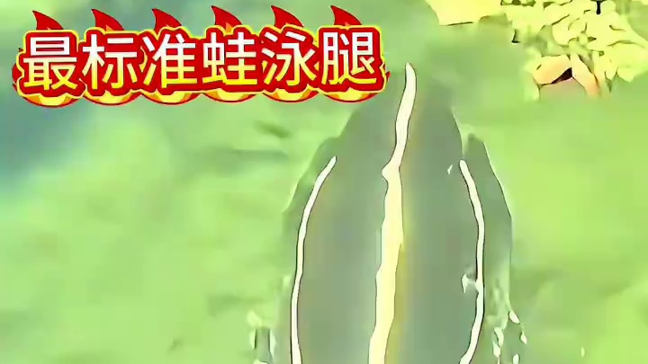 让祖师爷来给大家示范一个最标准蛙泳腿 口诀：
边收边分慢收腿，两脚外翻对准水。
弧形向后蹬夹水，并拢