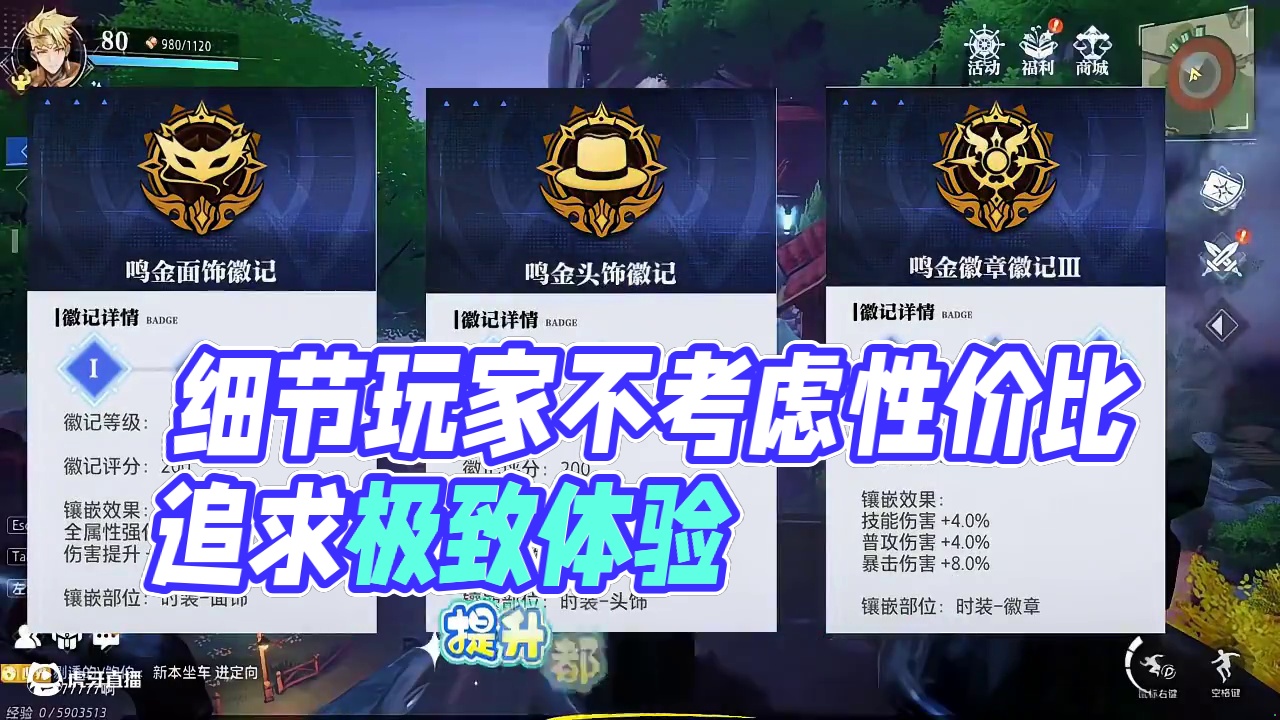 追求细节的玩家应该不会考虑性价比！#晶核coa #晶核创作激励 #晶核80版本救赎圣歌