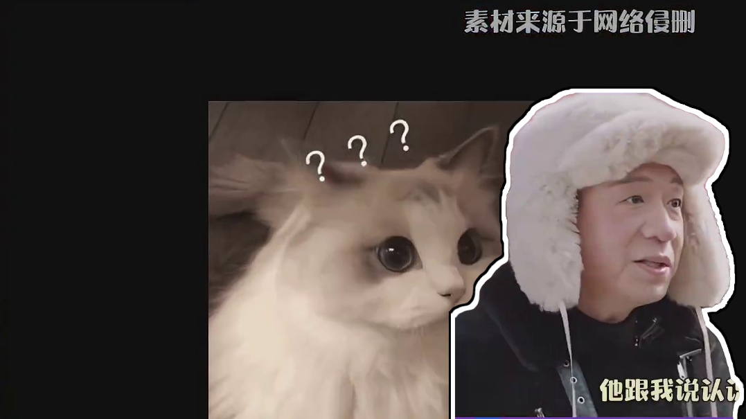 看完视频只想说，狗狗的人脉这么广啊