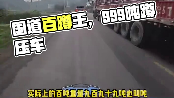 国道没有通天树只有一物降一物