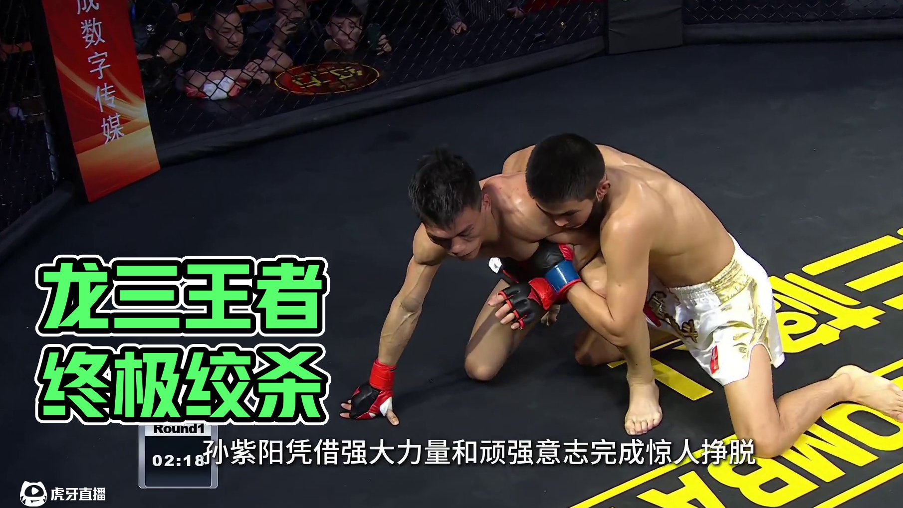 龙三格斗环球拳王巡回赛