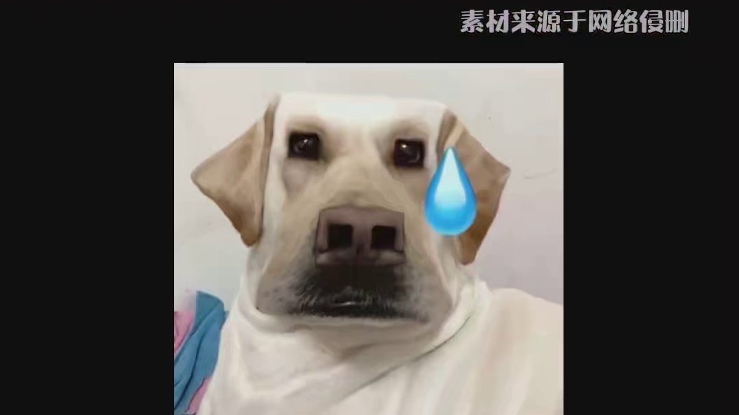 不是，你们也没说起名这么简单粗暴啊