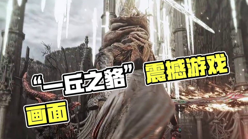 “ 你们都是一丘之貉 ” #艾尔登法环 #游戏中的震撼瞬间