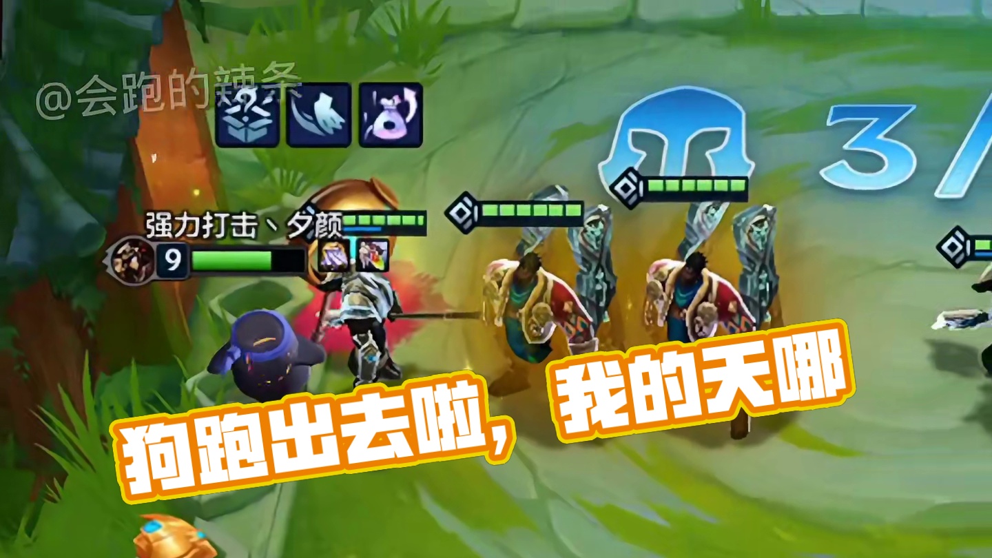 被狗演了，谁把狗给放出来了