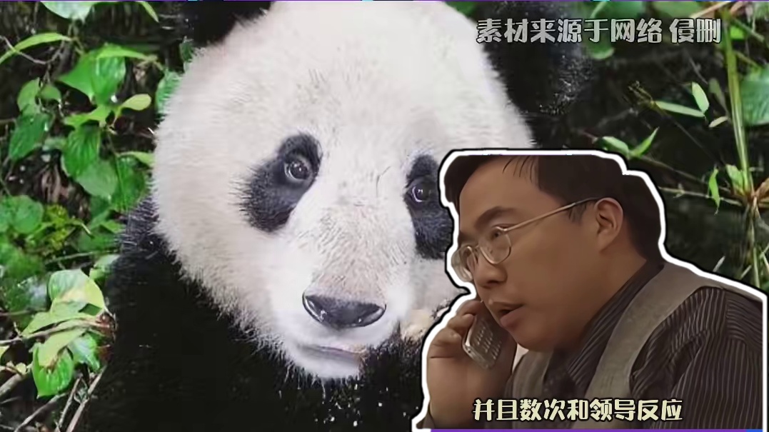 祥祥始终不明白奶爸为什么抛弃他