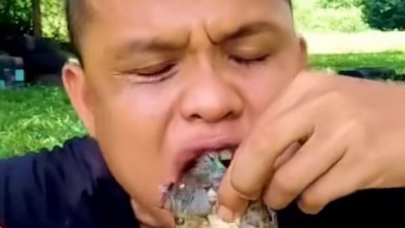 酱炖鳝鱼 #美食 #泰国美食 #户外美食 #内容启发搜索