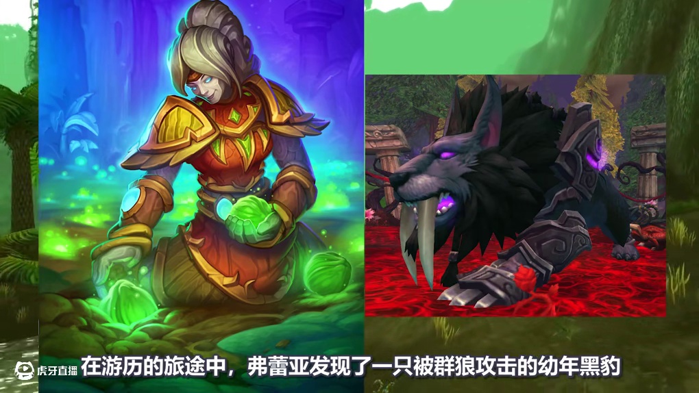 顽强的黑豹，德鲁伊（划去）盗贼的守护神！ 炉石橙卡小故事450阿莎曼 #炉石橙卡小故事 #炉石传说 