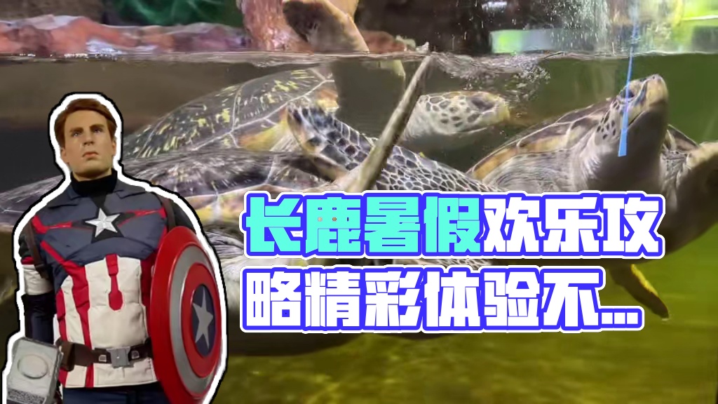 假期还不知道带孩子去哪嗨，那就赶快收藏这份长鹿休博园游玩攻略吧～#百万达人玩转长鹿 #长鹿粽享六一 