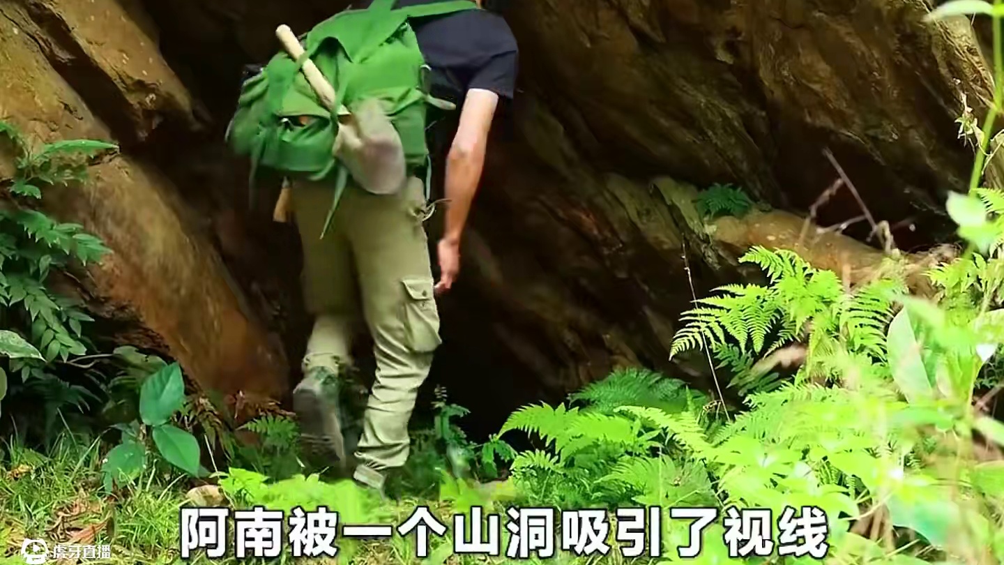 阿南用七天时间，将天然山洞改造成舒适的家，用竹竿实现烤鱼自由 #解压  #野外建造  #原始技术