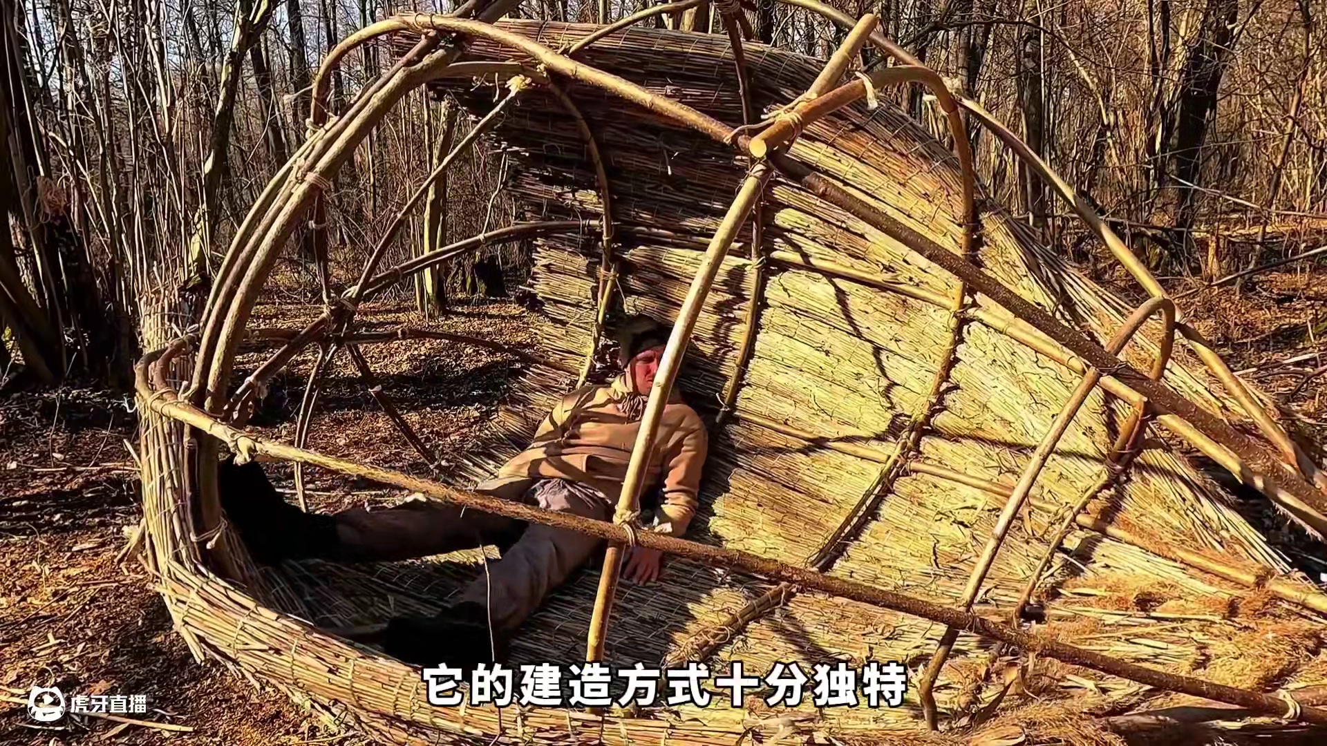 男人只是多看了一眼这颗古树，就将其改造成合适居住的家！ #野外建造 #解压 #荒野建造