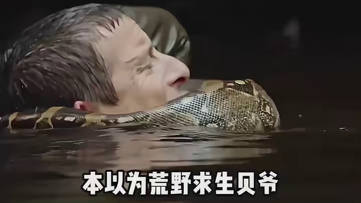 世界第一打野：贝爷 世界第一辅助：贝爷的摄影师