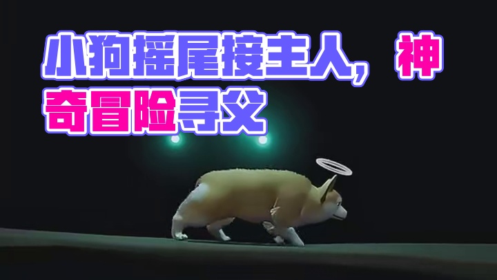 听说人死后，先离世的小狗会摇着尾巴来接你