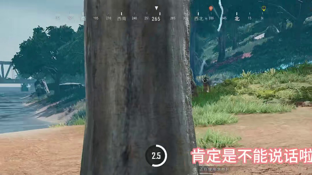 下次看到我哥哥能说话吗？ #绝地求生 #这操作都看傻了 #又菜又爱玩系列 #御姐 #游戏