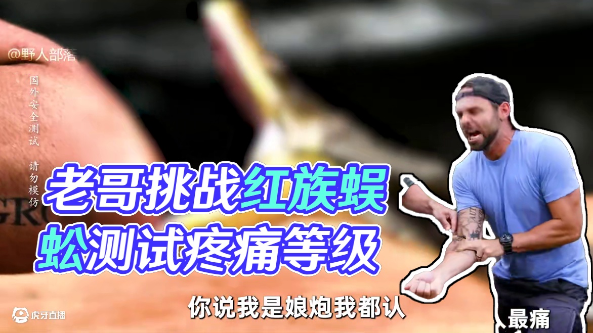 国外老哥作死挑战，测试被网纹蟒咬后的疼痛程度 #男生减速带 #疼痛之王 #纪录片 #户外