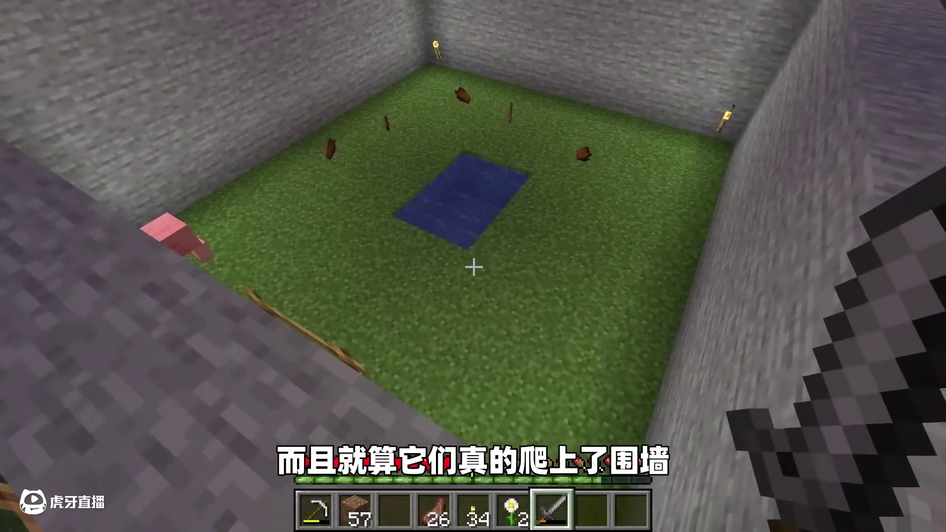 我的世界：不要喂猪猪吃肉，否则它会变得极具攻击性！ #我的世界 #我的世界诡异事件 #我的世界都市传