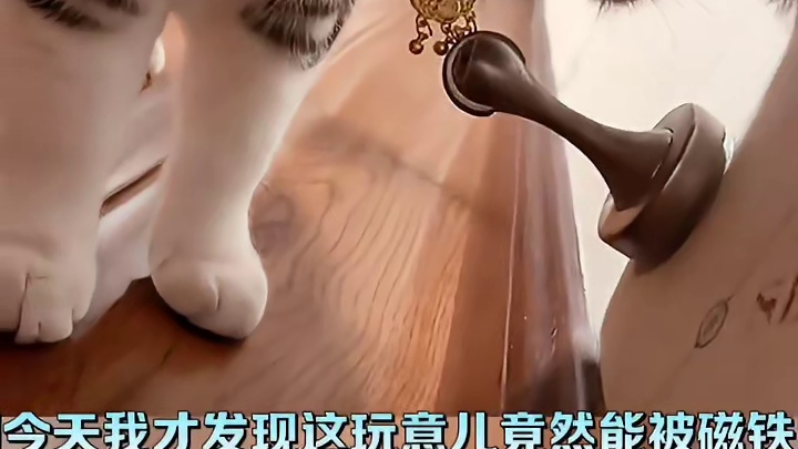 这为啥能吸住呀