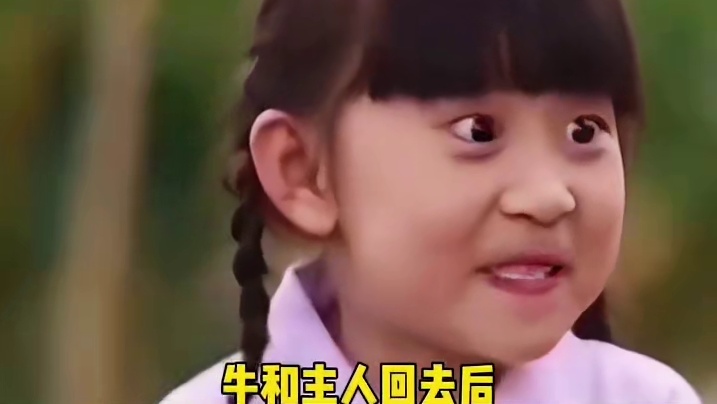 这牛也太调皮了