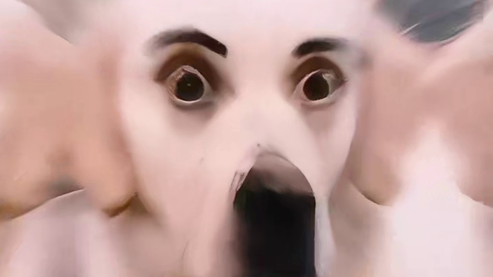 不是，一辆小猫就这么过来了