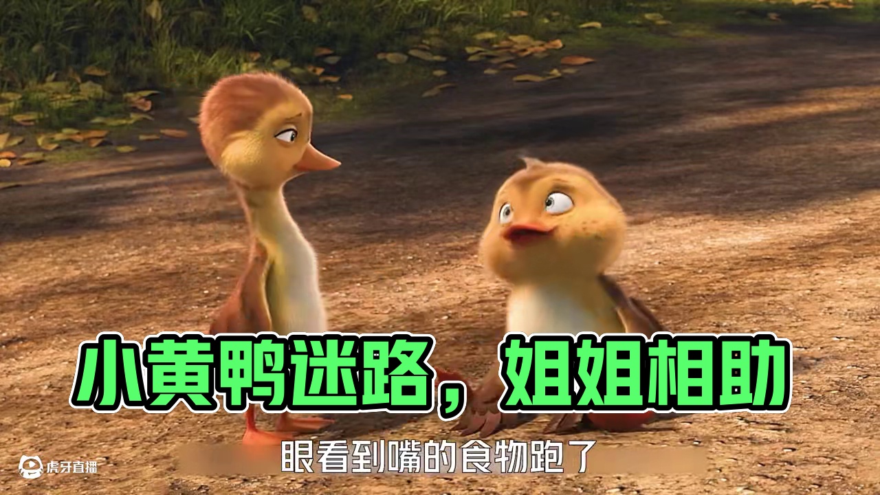 两只落单的小黄鸭踏上了奇妙的寻亲之旅#每日推荐电影 #动画电影