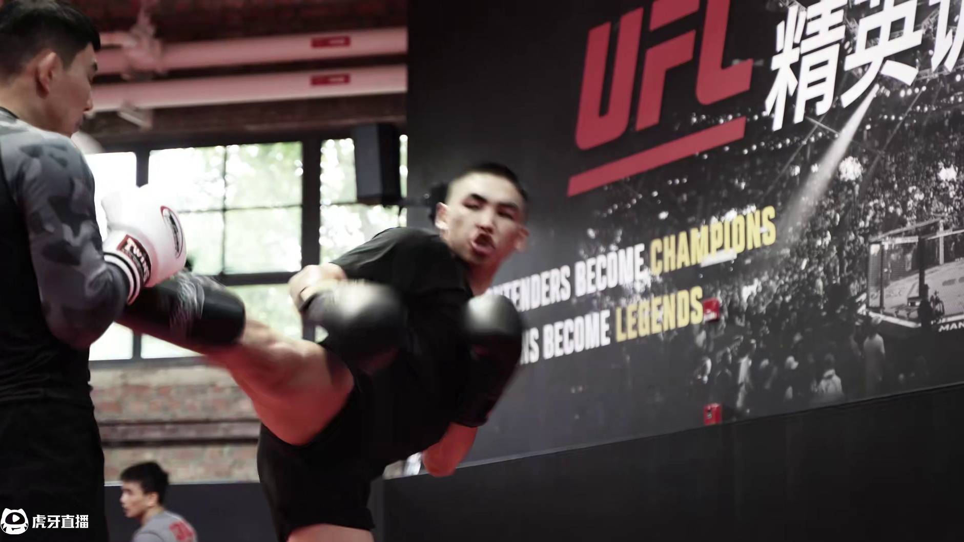 拳是意志，腿是信念，肘膝是终结！