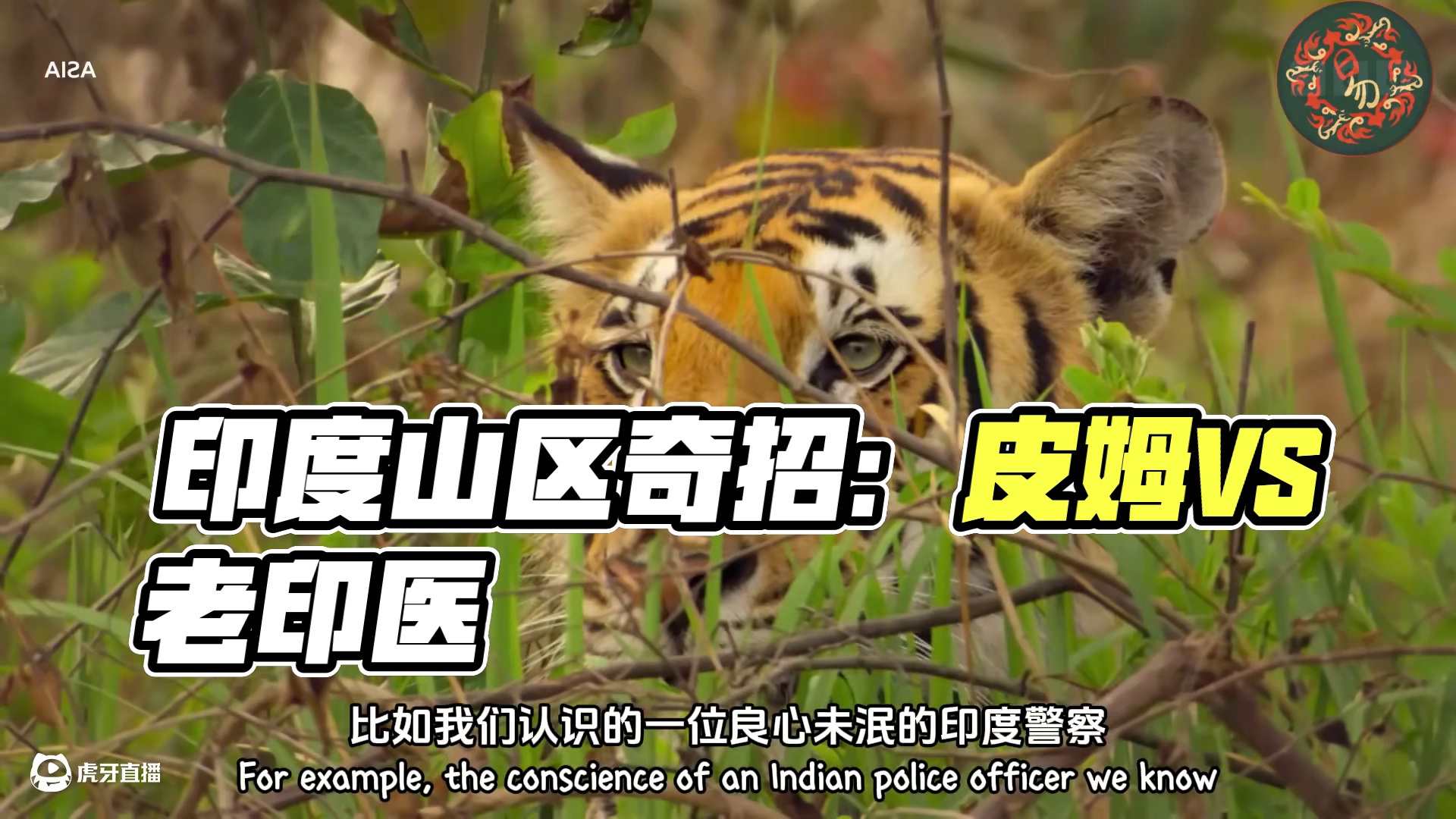 真实印度10：皮姆大战老印医，山区致富小妙招！ 特别加入印度警察对我们的看法。 
#真实印度系列 #