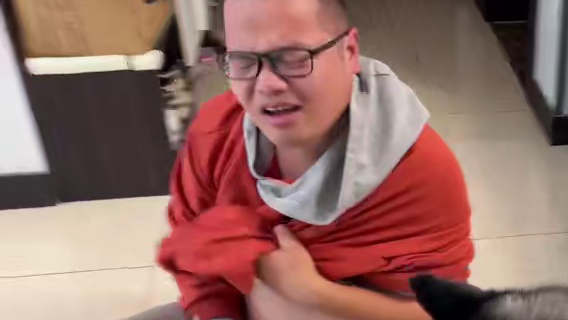 主人给二哈绝育，却惨遭二哈疯狂报复，画面惨不忍睹笑得人肚疼 #二哈