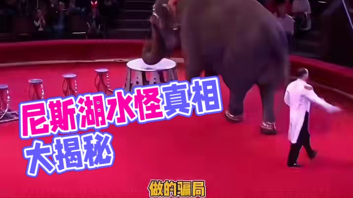 到底什么是真的！#世界未解之谜 #尼斯湖水怪 #麦田怪圈 #万万没想到