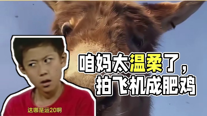 咱妈对咱还是太温柔了，飞机都拍成肥鸡
