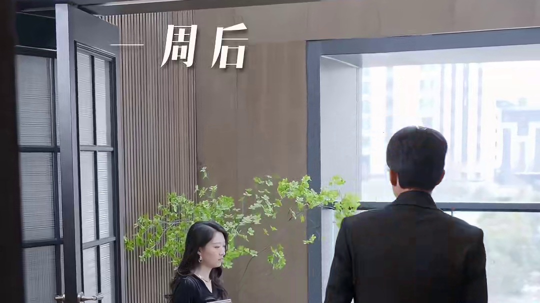 周诗雨与沈傅辰成婚七年，为他放弃事业，满心满眼皆是他。可沈傅 辰心中始终念着错过的白月光，在前往民政