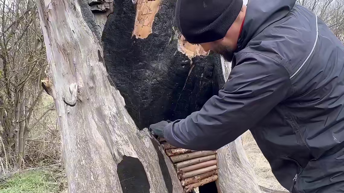 第2集：一棵被大火烧过的枯木，竟被男人建造成舒适的小屋