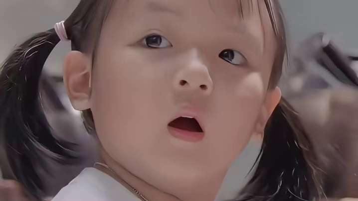 海豚给人类送礼物了