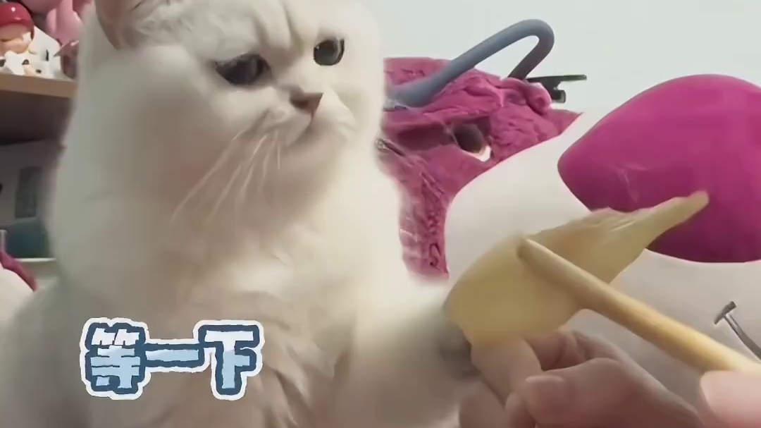 人，你是一点灵性都不通啊