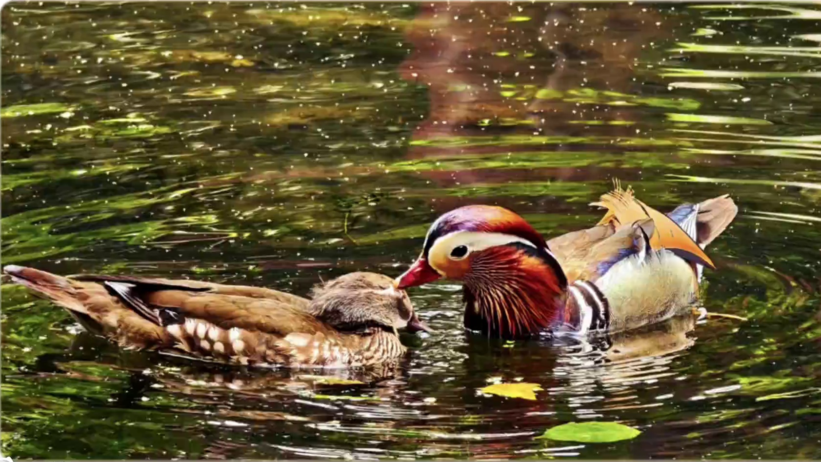 超有创意的拍照姿势 欢迎评论区分享你超有趣的拍照姿势#拍照打卡 #拍照姿势 #更新中 #评论区留言 