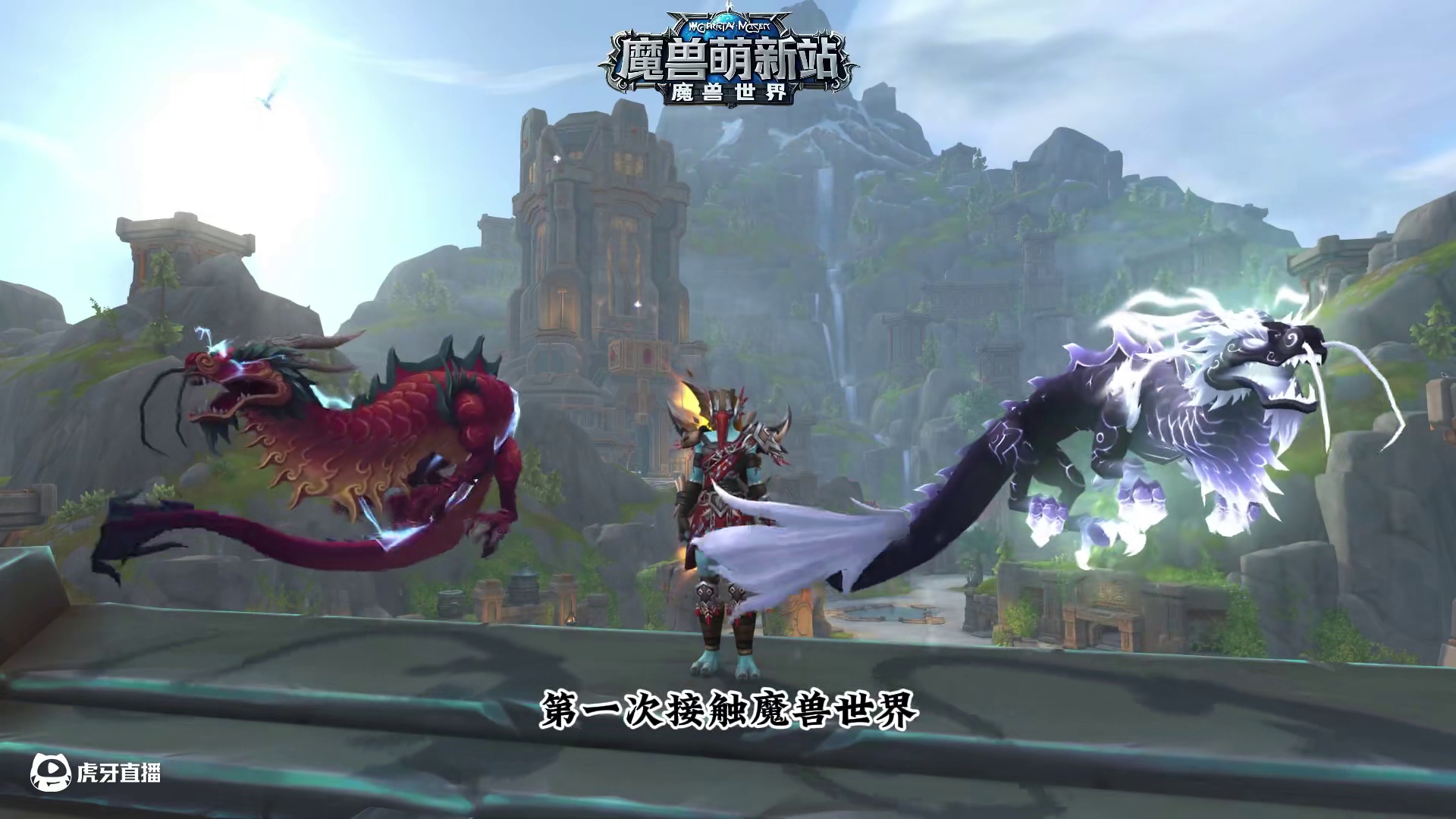 《新手玩家必知篇》职业推荐—猎人 #魔兽世界 #魔兽世界正式服 #魔兽世界涡轮加速 #魔兽世界巫妖王