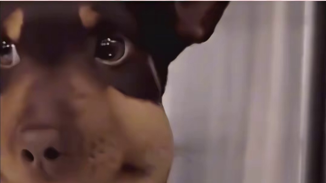 咱FAM这次一定要拿回属于我们的一切！