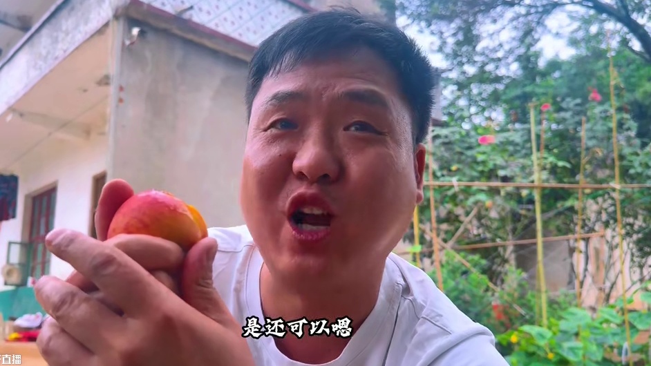 肥肠还是烟熏过的才香，搭配橡子豆腐炖味道更是一绝！ #我的乡村生活 #农村美食记录生活 #下饭菜 #