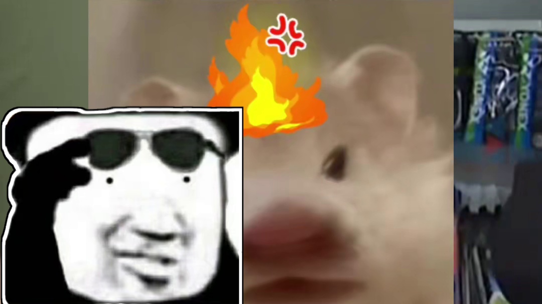 一把铝拍卖两千多，这店也太敢了吧#羽毛球 #羽毛球拍