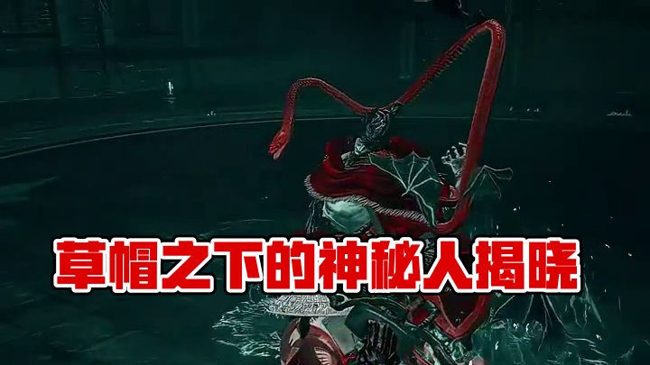 草帽之下的人是谁！#艾尔登法环