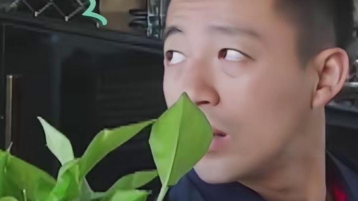 汪小菲连上个洗手间都要向大S汇报，肚子饿了也不敢吭声