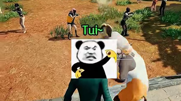 文化不高，树枝极差哈哈哈 #pubg#绝地求生#2025鸡斯卡星火计划