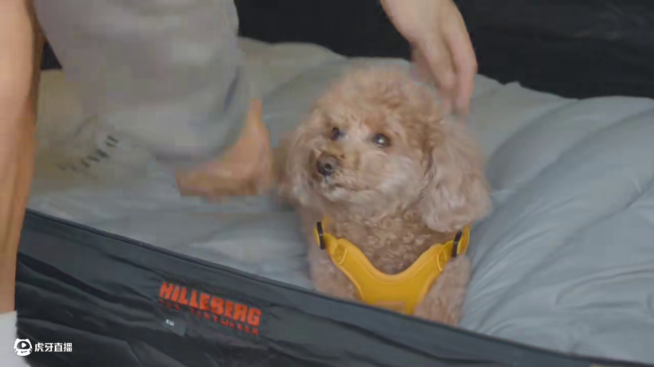 济州露营（二）在济州岛露营、放风、烤黑猪肉吃~#露营 #解压 #助眠 #户外露营 #烧烤